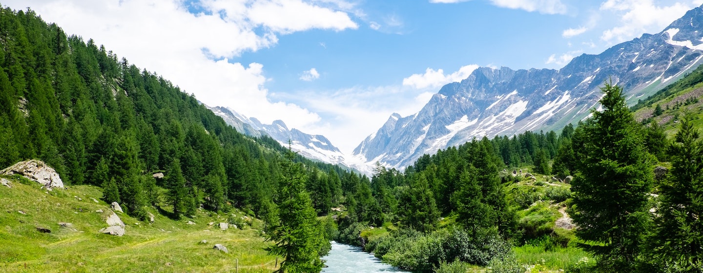 natural rocky mountain landscape with a river going between expanse of green grass and forest, with snowy mountain range in the background